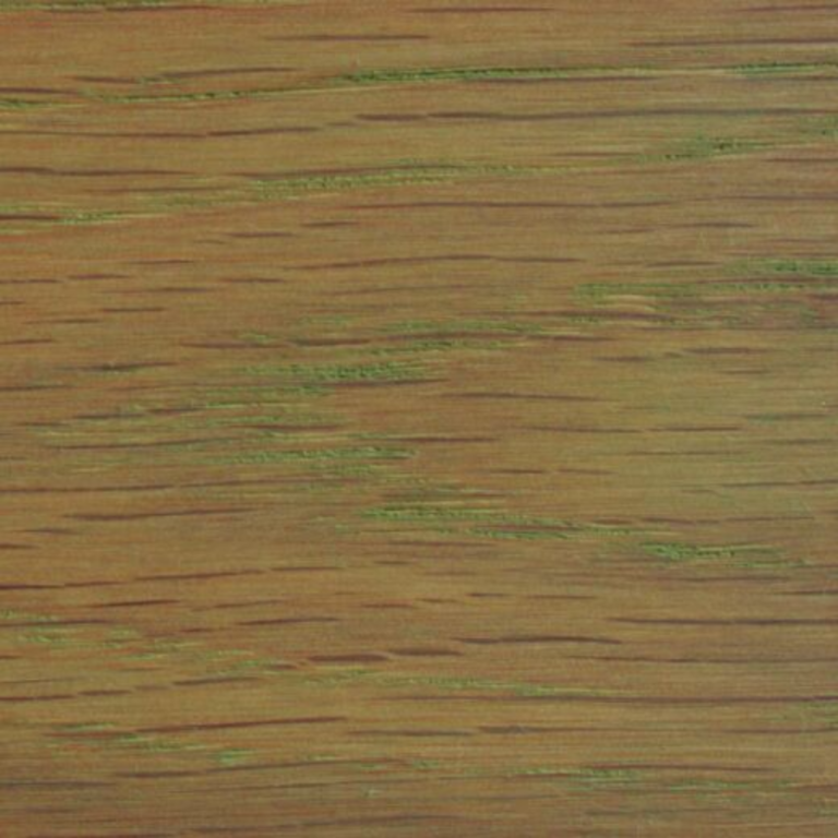 Rubio Monocoat Oil Plus 2C Pistachio Rubio Monocoat Oil Plus 2C Pistachio